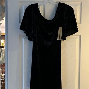 Cynthia Steffe Midnight Velvet Dress